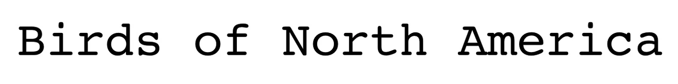 Birds of North America logo